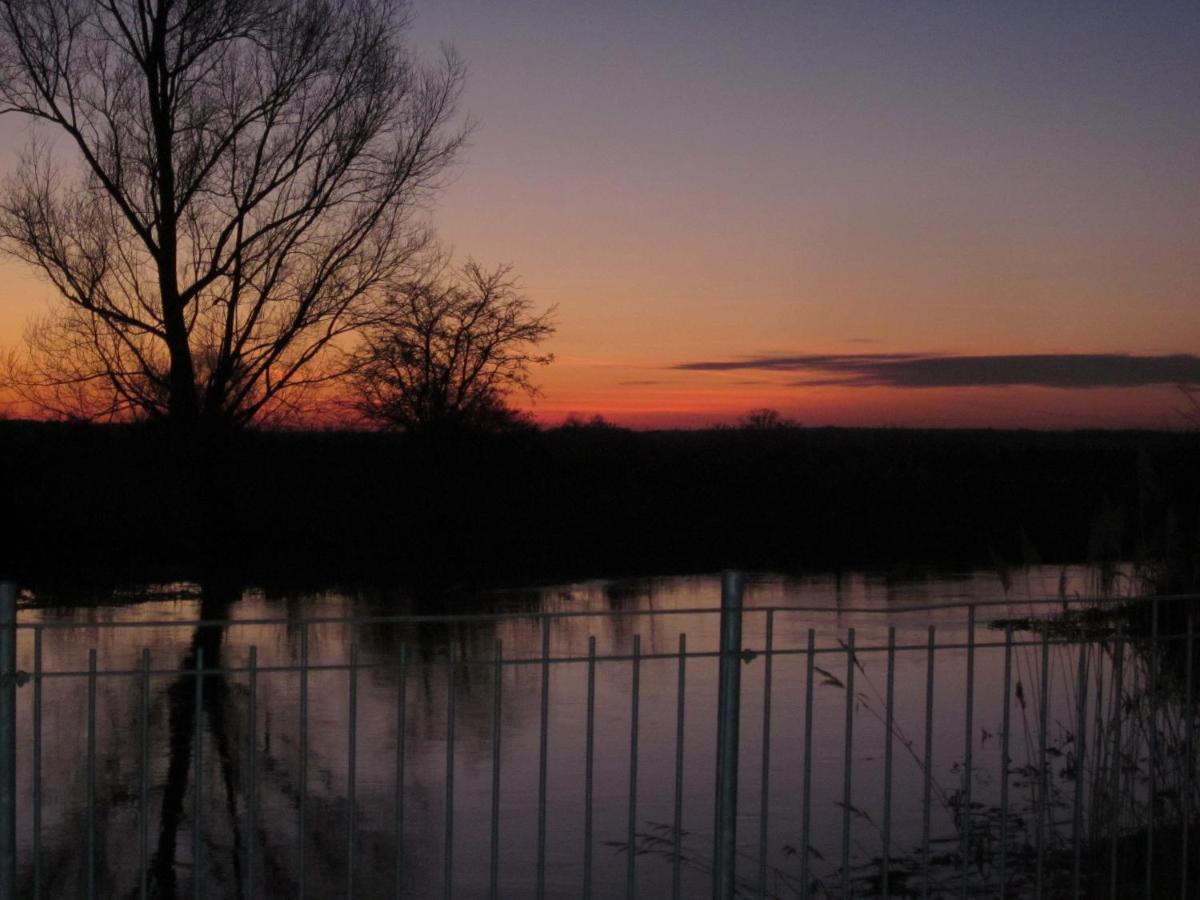 Pension "Zum Schwan" Muhr am See Bagian luar foto